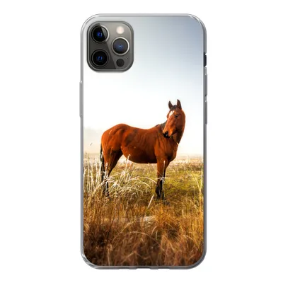 Produktbild von MuchoWow® Handyhülle Schutzhülle Hülle für iPhone 13 Pro Max Pferd - Weide - Australien Silikon Softcase Handy Hülle - Mobiltelefon