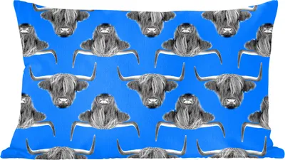 Produktbild von MuchoWow® Zierkissen Sofakissen Wohnzimmer Dekokissen 60x40 cm Schottisches Hochlandrind - Muster - Blau - Kopfkissen - Polster mit Foto