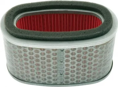 Produktbild von Luftfilter Tecnium für Honda VT 750 C2 Shadow Spirit RC53 2007