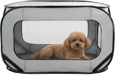 Produktbild von Transportbox für Katzen – Transportbox für Hunde – Reisekorb – Sicheres Reisen – Faltbares Design – 92 x 52 x 52 cm – Grau