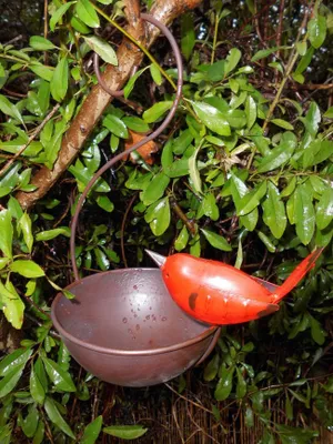 Produktbild von Vogeltränke Vogelbad Vogel-Futterstelle z. Hängen Eisen m. Vogel in rot