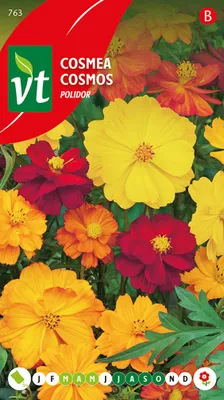 Immagine prodotto di Semi di Cosmea Polidar - Circa 1 gr | VT_763