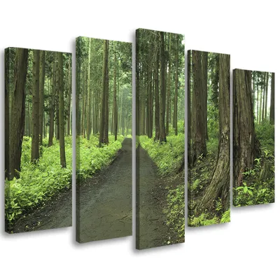 Produktbild von 5-teiliges leinwandbild waldweg natur bäume 150x100 cm Feeby grün wandbild bereit zum aufhängen