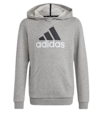 Produktbild von Adidas Sweatshirts Big Logo 2 Hoody JR, HB4362, Größe: 123
