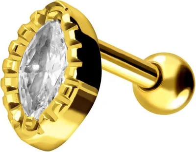 Produktbild von Ohrpiercing Titan Ohrpiercing KRISTALLTROPFEN