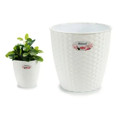 Produktbild von Pflanzgefäß Stefanplast 73470 Kunststoff weiß 24 x 22,5 x 24 cm
