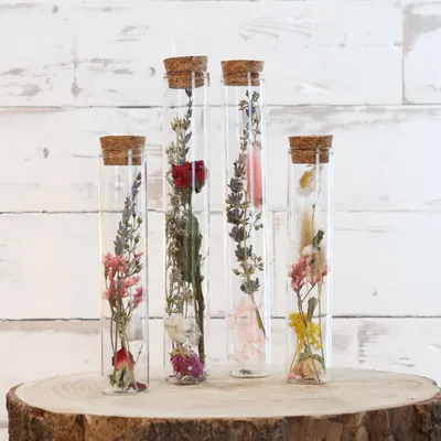 Immagine prodotto di Comforder: fiori secchi in provetta con tappo di sughero, set da 4; decorazione floreale secca in bottiglia di vetro (colorata)