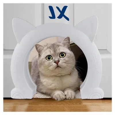 Produktbild von XL Katzentür für Innentüren, Haustiertür für Katzen und kleine Hunde (Weiß)