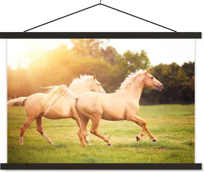 Produktbild von MuchoWow® Textilposter Pferde - Gras - Sonne 90x60 cm mit schwarzem Rahmen - Aufhängungssatz