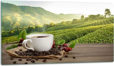Produktbild von Glasschneidebrett Herdabdeckplatte Glaskeramikkochfeld Universal 52x30 cm Landschaft Kaffee