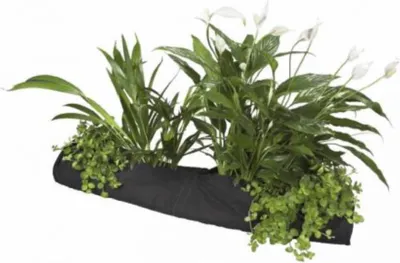 Produktbild von Pflanzensocke 10 x 80 cm Display 35 Teichzubehör - Velda