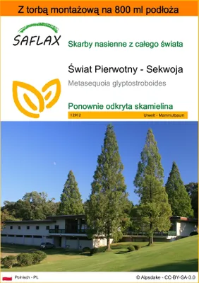 Zdjęcie produktu dla SAFLAX - Garden in the bag - Świat Pierwotny - Sekwoja - 60 Nasiona - Z podłożem uprawowym w praktycznej, samorozkładającej się torbie - Metasequoia glyptostroboides