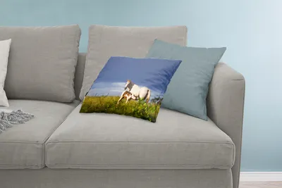 Produktbild von MuchoWow® Zierkissen Sofakissen Wohnzimmer Dekokissen 60x40 cm Pferde - Gras - Fohlen - Kopfkissen - Polster mit Foto