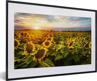 Produktbild von MuchoWow® Gerahmtes Poster Blumen - Sonnenblume - Himmel 60x40 cm - Poster mit Schwarzem Bilderrahmen Wandposter Rahmen Foto Bilder - Schlafzimmer - Plakat in Rahmen - Drucken