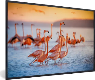 Produktbild von MuchoWow® Gerahmtes Poster Flamingo - Tiere - Wasser - Rosa 90x60 cm - Poster mit Schwarzem Bilderrahmen Wandposter Rahmen Foto Bilder - Fotorahmen - Foto-Plakat