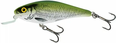 Zdjęcie produktu dla Salmo wobler Executor płytka podbierak oliwkowy Bleak 5cm