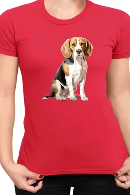 Produktbild von Damen T-Shirt Dogs Breeds Beagle Dog Breed 008, Lady L / Rot