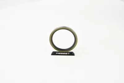 Produktbild von Febest 95Gds-57700707X