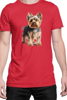 Produktbild von Herren T-Shirt Dogs Breeds Yorkshire Terrier Dog Breed 005, Man M / Rot