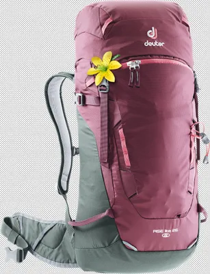Produktbild von Deuter Rise Lite 26 SL - Skitourenrucksack, Farbe:maron-ivy