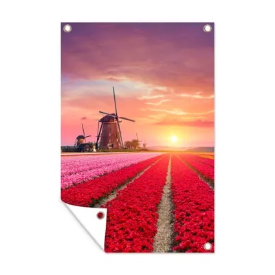 Obrázek produktu pro MuchoWow® Zahradní plakáty - Květiny - Větrný mlýn - Tulipány - Západ slunce - Růžová - 120x80 cm - Zahradní dekorace