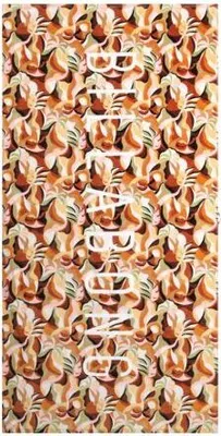 Immagine prodotto di BILLABONG ASCIUGAMANO - marrone - universale