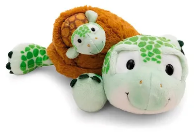 Produktbild von Nici Schildkröte Baby Teddybär 28 Cm   Kinder  One Size