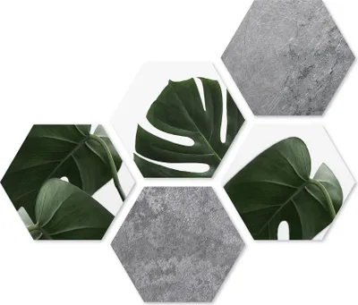 Produktbild von 5er Set Wandbilder je 28x32cm Wanddeko Hexagon Monstera Betonoptik Holzbild Deko