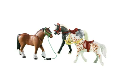 Produktbild von PLAYMOBIL Country 6360, 4 Jahr(e), Mehrfarbig, Kunststoff