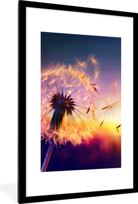 Produktbild von MuchoWow® Gerahmtes Poster Löwenzahn - Blumen - Sonnenuntergang - Horizont - Nacht 60x90 cm - Poster mit Schwarzem Bilderrahmen Wandposter Rahmen Foto Bilder - Dekoration - Wandposter Wohnzimmer - Hochwertig