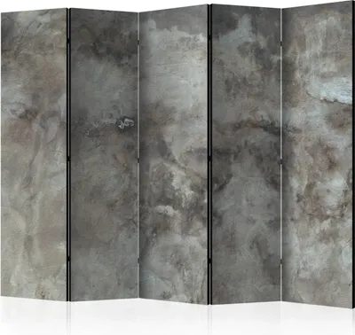 Produktbild von 5-teiliger Doppelseitiger Vlies Paravent - Hail Cloud II 225x172 cm Abstrakt f-A-0485-z-c