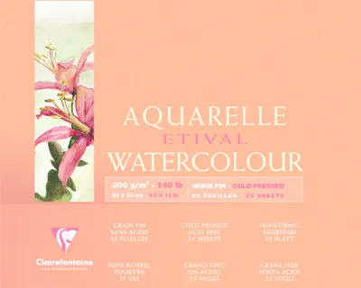 Image de Clairefontaine Aquablo. FKorn ETI 300g 24x30 25Bl