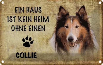 Produktbild von vianmo Blechschild 12x18 cm Collie Hund Tier Haustier