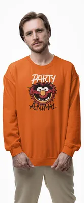 Produktbild von D&B Design Uni Pullover SWMO00095 Party Animal Orange-Größe M