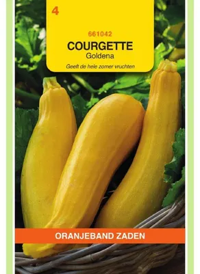 Immagine prodotto di Zucchine Oranjeband Goldena - 1 confezione di semi