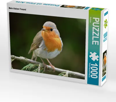 Produktbild von CALVENDO Puzzle Mein kleiner Freund | 1000 Teile Lege-Größe 64x48cm Foto-Puzzle für glückliche Stunden