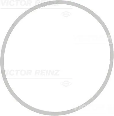 Obrázok produktu pre VICTOR REINZ Tesnenie sacieho potrubia (71-39409-00) pre BMW 7 5 6 X5 |