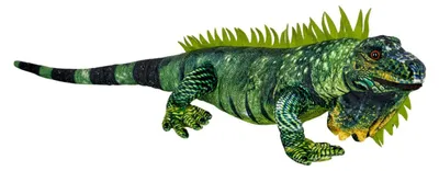 Produktbild von Nature Zoom|Die Spiegelburg Grüner Leguan - Nature Zoom Wild