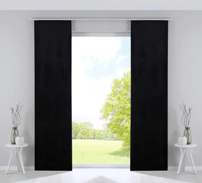 Paneelgordijnen Set 2er, Samt, blickdicht, Schwarz, 245x60 cm