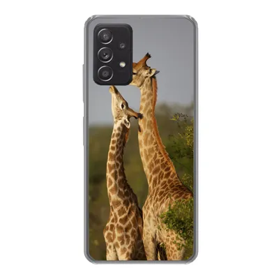 Produktbild von MuchoWow® Handyhülle Schutzhülle Hülle für Samsung Galaxy A53 5G Giraffe - Baum - Kalb - Porträt Silikon Softcase Handy Hülle - Schutzabdeckung