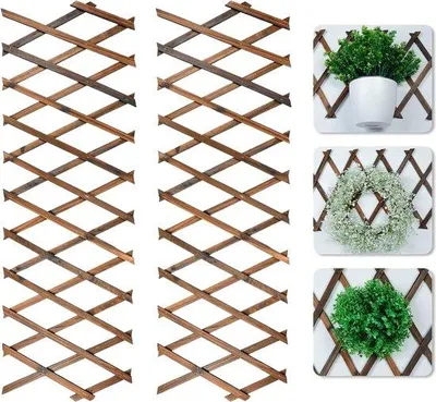 Image de Supports pour plantes Famanu, extensibles - Lot de 2, 190 x 30 cm, en bois