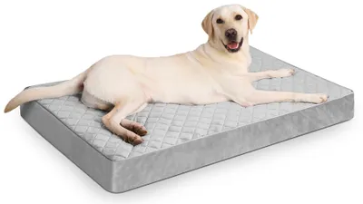 Image de Lit orthopédique pour chiens de grande taille, imperméable, avec housse amovible