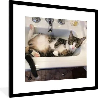 Produktbild von MuchoWow® Gerahmtes Poster Katze - Waschbecken - Badezimmer 40x40 cm - Poster mit Schwarzem Bilderrahmen Wandposter Rahmen Foto Bilder - Poster - Plakat im Rahmen