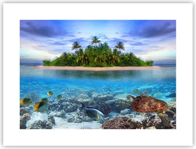 Produktbild von Poster - Poster ohne Rahmen - Strand lagune wasser ozean - 40x30 cm - Wand Bild - Wanddeko - Wandbilder - Kunstposter - Wandposter - Bilder - Kunstdruck - Wanddekoration - Wandbild - P2XAA40x30-2686