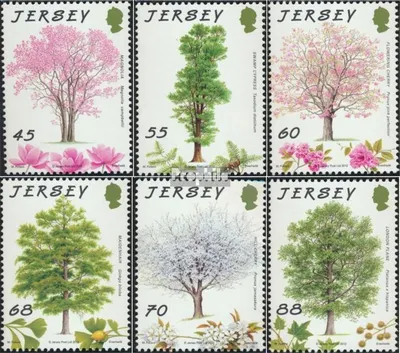Produktbild von Briefmarken GB - Jersey 2012 Mi 1648-1653 (kompl.Ausg.) postfrisch Baumschutzorganisation