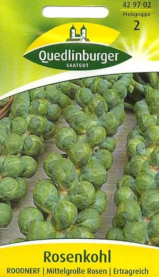 Produktbild von Rosenkohl, Roodnerf