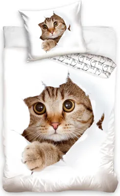 Obrázek produktu pro Bavlněné povlečení 160x200, motiv kočka