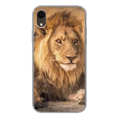 Produktbild von MuchoWow® Handyhülle Schutzhülle Hülle für iPhone XR Löwe - Nahaufnahme - Savanne Silikon Softcase Handy Hülle - Schutzdeckel