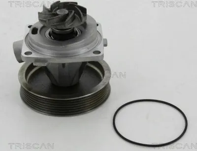 Produktbild von TRISCAN Wasserpumpe für Fahrzeuge ohne Servolenkung 8600 10080