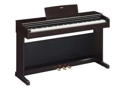 A digital piano on a white background.